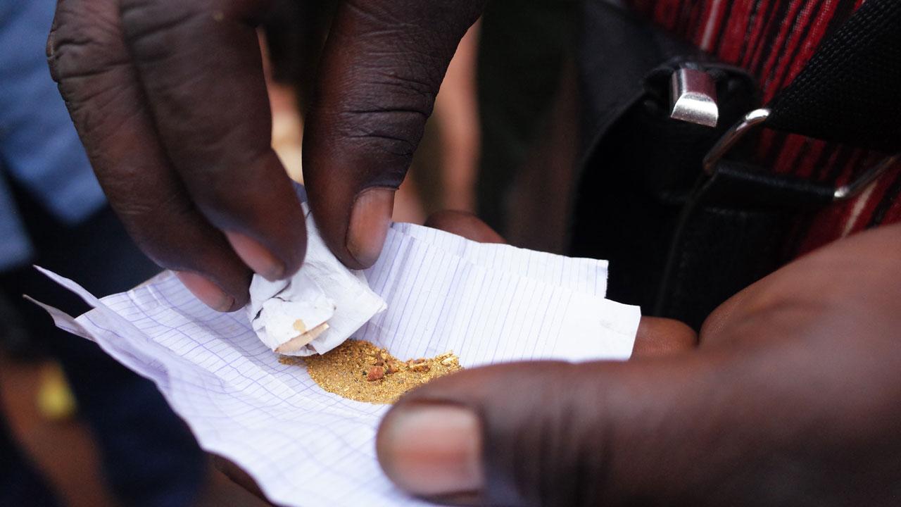 A closeup shot of two hands holding a paper with gold dust and nuggets, supported by the Tetra Tech-led responsible minerals program in Central African Republic