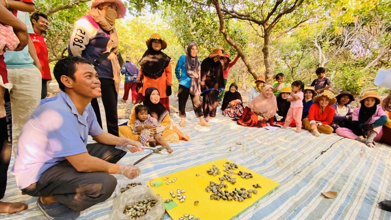 A group of farmers receiving technical training on cashew production